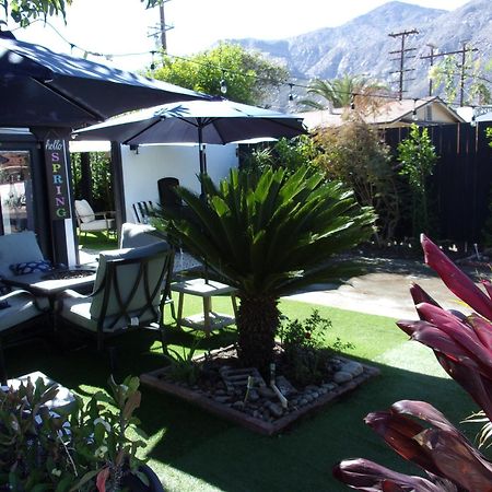 Updated Dwntwn 2Bd Twnhse W/Hot Tub& Private Patio Palm Springs Bagian luar foto
